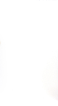 Sports Bags reference 3